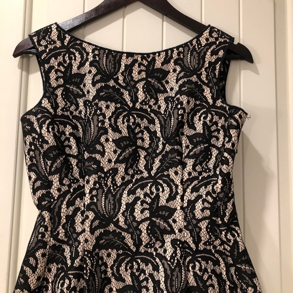 ZARA Woman Tulip Black Lace Dress ASO Kate Middleton Size Medium - Picture 5 of 6